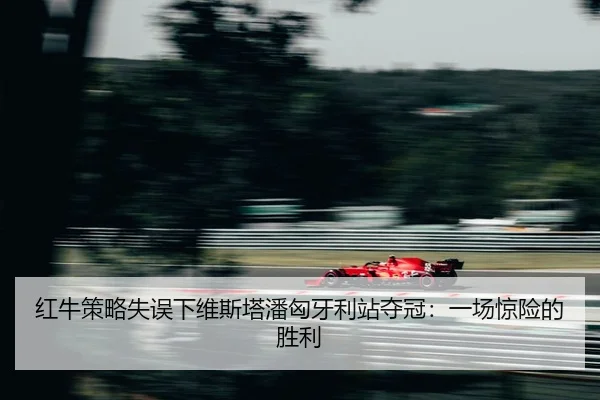 hong-niu-ce-lve-shi-wu-xia-wei-si-ta-pan-xiong-ya-li-zhan-duo-guan-yi-chang-jing-xian-de-sheng-li-2-392.jpg