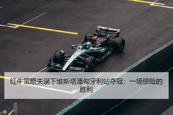hong-niu-ce-lve-shi-wu-xia-wei-si-ta-pan-xiong-ya-li-zhan-duo-guan-yi-chang-jing-xian-de-sheng-li-3-907.jpg